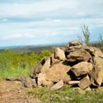 Reisanbau auf Lanzarote