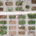 Bewertung: Soil Restaurant, Athen, Griechenland