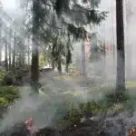 Warnung vor erhöhter Waldbrandgefahr auf Gran Canaria