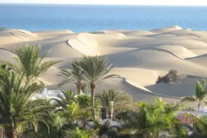 Die Dünen von Maspalomas
